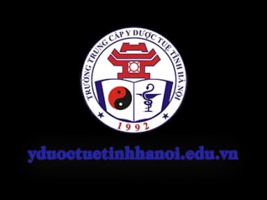 Logo Tuệ Tĩnh Hà Nội